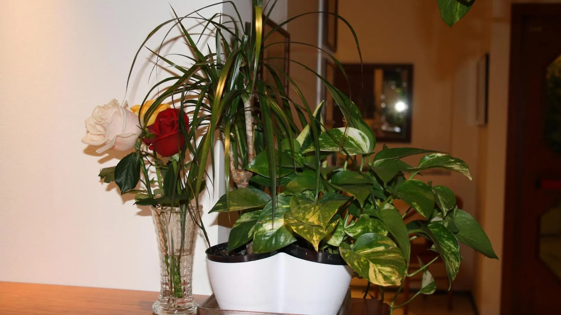 Hotel Sole Mare Sanremo
